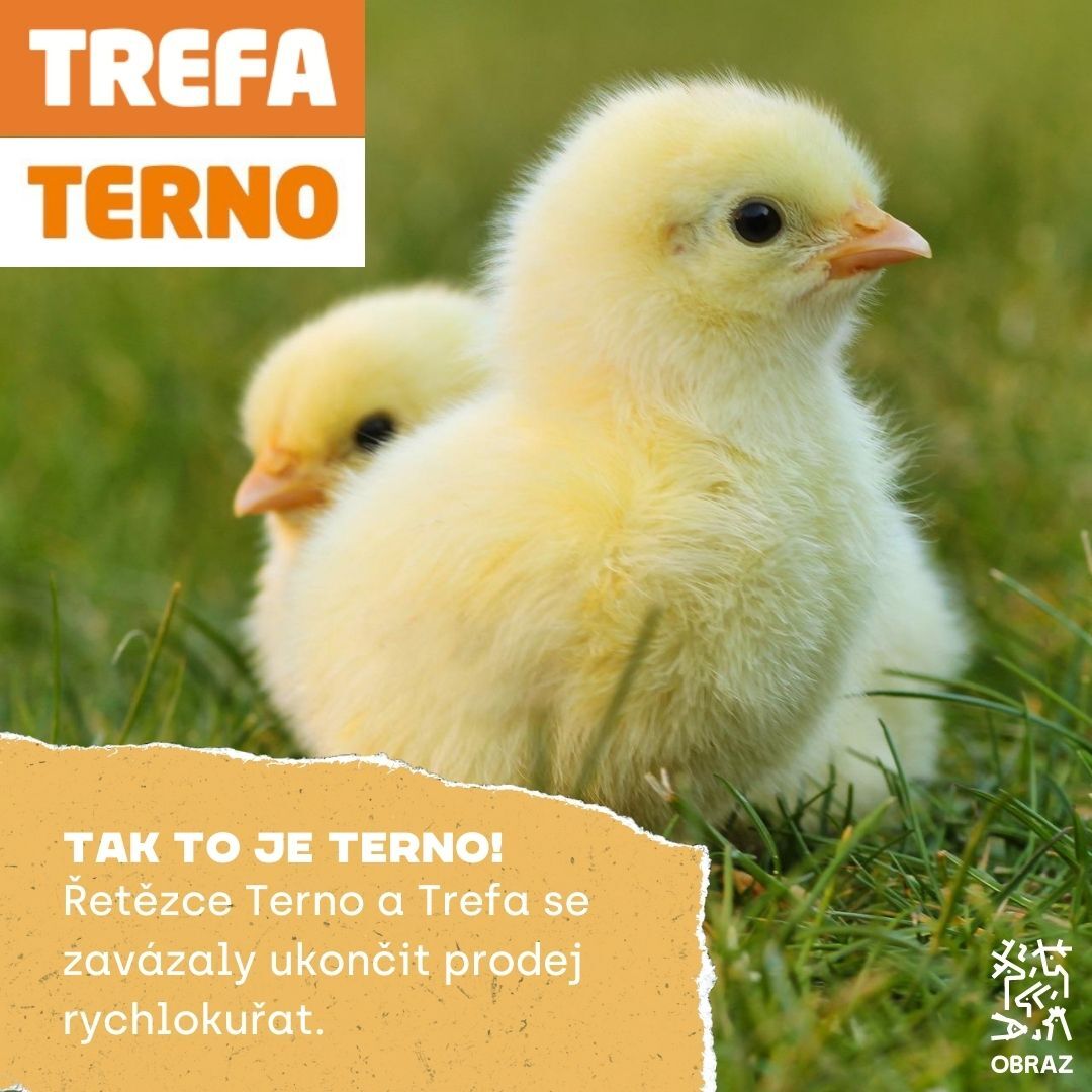 ‼️ Končíme s rychlokuřaty ‼️