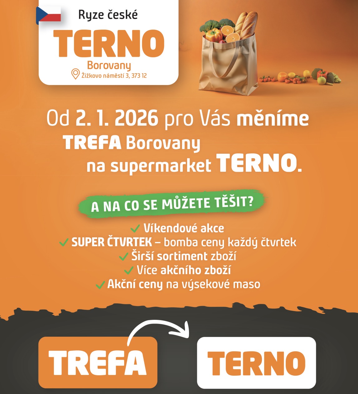 Terno Borovany